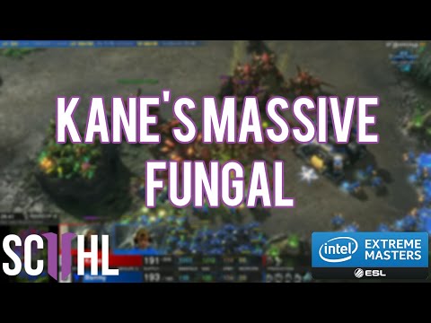 Kane's Massive Fungal - WCS Season 1 2015
