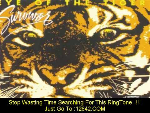 Eye Of The Tiger (Song With Lyrics)