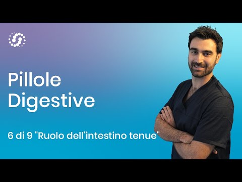 Le funzioni dell'intestino tenue nella digestione. Pillole Digestive Ep. 6