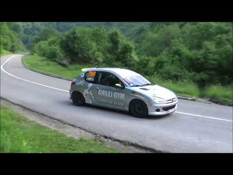 Nikola Misic - Brdska trka Brus I 2023 - Peugeot 206 1.6 SL