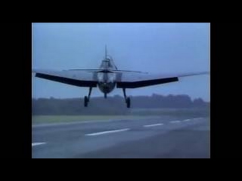 Sea Wings Collection - The Avenger