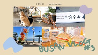 〔Vlog〕2025.01🇰🇷冬の釜山旅行2泊3日Vol.3🇰🇷🤍広安里カフェ巡り☕️¦海雲台お散歩🪼¦柴犬カフェ🐶¦My favorite cookie🍪¦金海空港紹介!