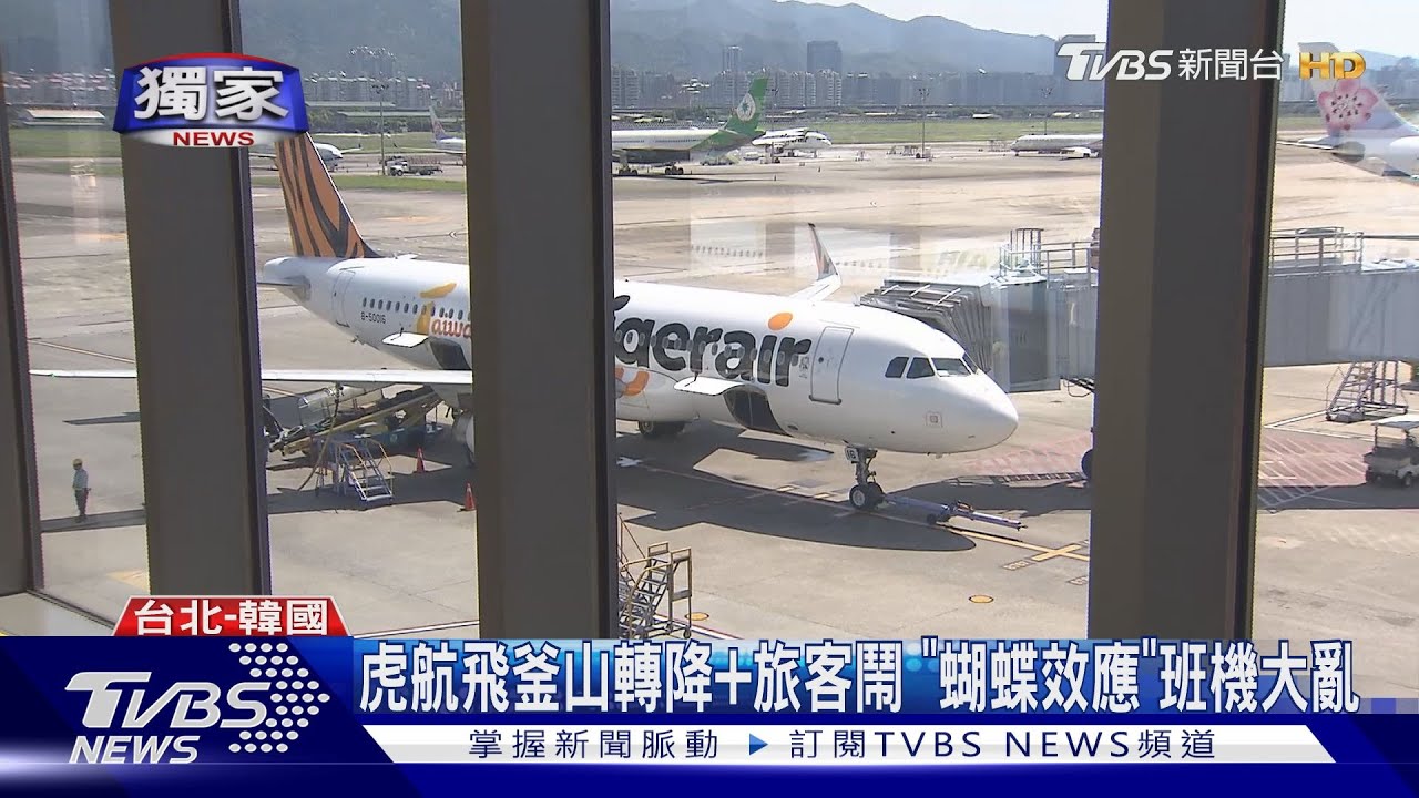 虎航飛釜山轉降+旅客鬧 「蝴蝶效應」班機大亂