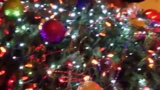 7 year old sings Dona Nobis Pacem