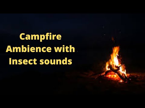 Relaxing Campfire with Insect Sounds