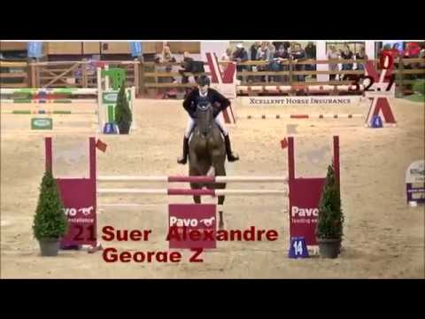 GEORGE Z: Zangersheide stallion by Kannan, www.equine-evolution.com