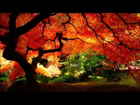 Boris Nonte & Gregg Lehrman - Come Alive