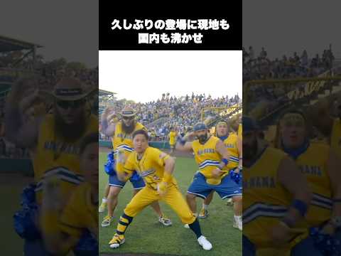 バナナボールの理解不能なヤバすぎるプレーを紹介#メジャー　#野球　#bananaball