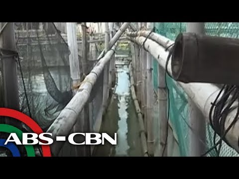 Hindi nawawala ang timbang ng paggamit ng isang patambilog tagapagsanay review Pagkain para sa pagbaba ng timbang sa hika
