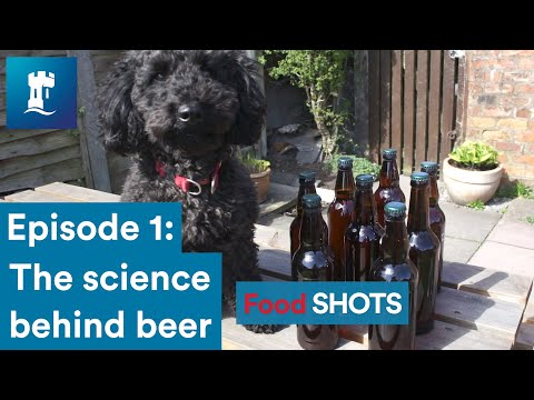 FoodSHOTS Episode 1: Homebrew