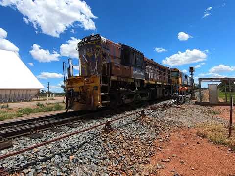 48123 & 8163 run around Condobolin West NSW.  Tue 05th Jan 2021