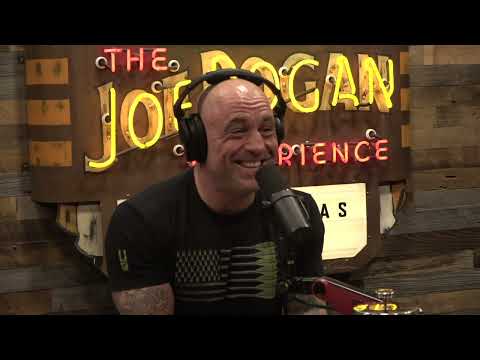 Joe Rogan Experience #1995 - Chad Stahelski