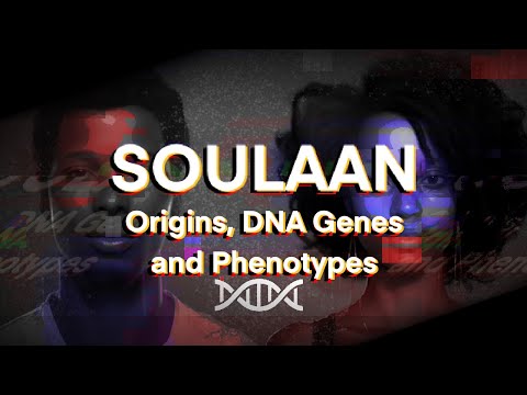 Soulaan Origins, DNA Genes and Phenotypes - Soulaan/African American History