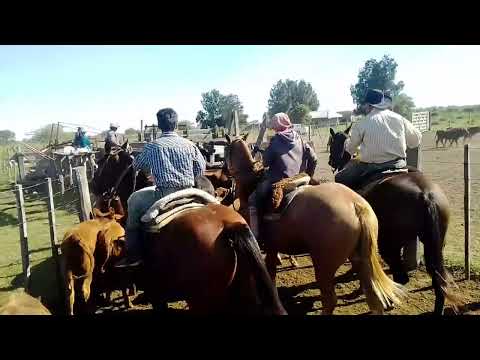 Trabajo de hacienda 2da parte