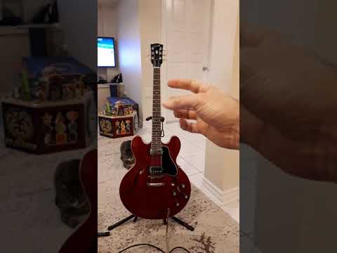 Gibson ES-335 comparison  2018 Memphis Traditional ES 335 vs. 2020 Nashville ES 335 Dot