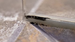 SCHIMMEL IN DER DUSCHE ENTFERNEN - ICH TESTE DAS MITTEL VON ZAUBERFEIN | FACTOREM | PRODUKTTEST