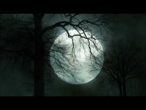 Abhinay pandey Horror story