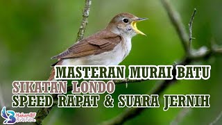 Download lagu Sikatan londo gacor full isian #masteranmuraibatu mp3
