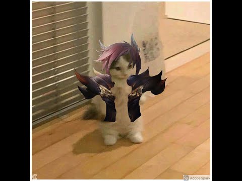 League of Legends 2v1 Sett