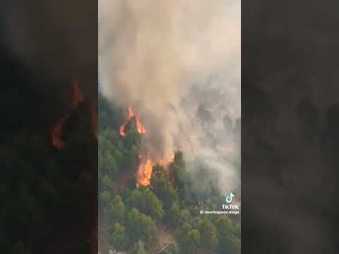 Impactante llamas de fuego en la comuna de Florida R.Bio Bío