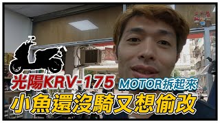[閒聊] KRV 180 皮帶售價