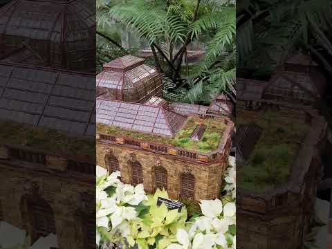 A mini garden conservatory inside the conservatory #shorts #greenhouse #nature #miniature