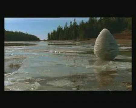 Rivers And Tides (2002) Trailer