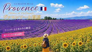 【南フランス】ラベンダーの聖地とひまわりの絶景|プロヴァンス・ヴァロンソール高原