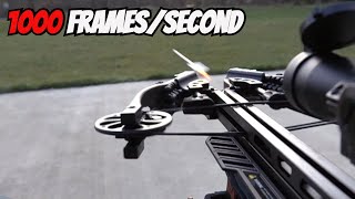 INCREDIBLE Slow Motion Crossbow Arrow Flight - Killer Instinct Vital X 430