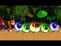 DK Island Swing Donkey Kong Country