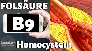 Vitamin B9 Folsäure bei erhöhtem Homocysteinwert!!Vitalstoffkalender