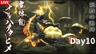 初見モンハンを堪能する男 10日目 雷神龍編　 【モンスターハンターライズ初見プレイ】