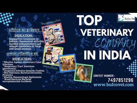 Ectin white permethrin soap 5%, for body, packaging size: 75...