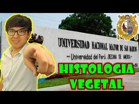 [ BIOLOGÍA FREE ] - HISTOLOGIA VEGETAL 💚🌿🍃