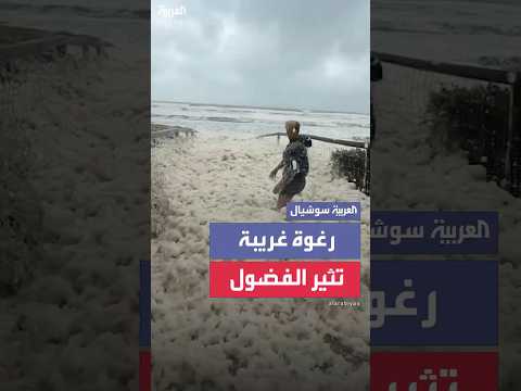فيديو | رجل يقفز في رغوة صفراء غريبة أثارت الفضول في أستراليا.. بعد أيام على الإعصار ألفريد