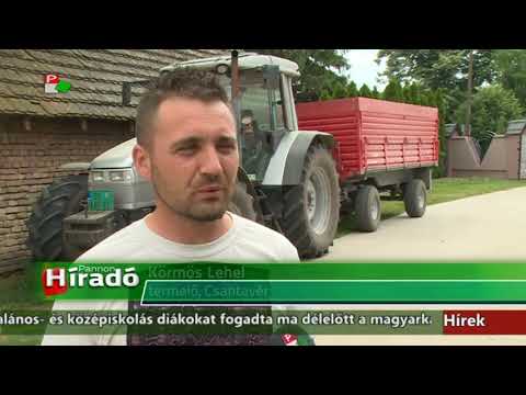 Híradó - 2018.05.25. 20:00h