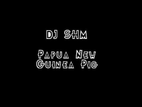 DJ SHM - Papua New Guinea Pig