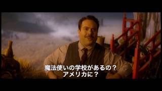 SHOCHIKU STORE | 松竹ストアファンタスティック・ビーストと