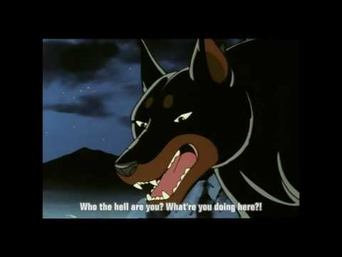 The Akita King Part 2 - Sniper