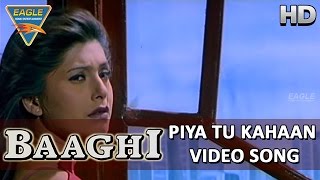 Baaghi