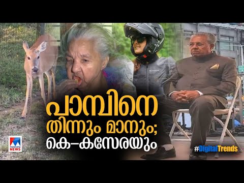 വൈറലായി മുഖ്യമന്ത്രിയുടെ കസേര; അവിവാഹിതയ്ക്ക് വ്യാജരേഖയാകാമോ? | Digital Trends