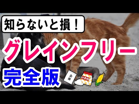 園芸 ペルシャスピードウェル、コモンスピードウェル、猫の腸