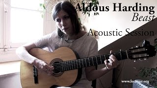 #787 Aldous Harding - Beast (Acoustic Session)