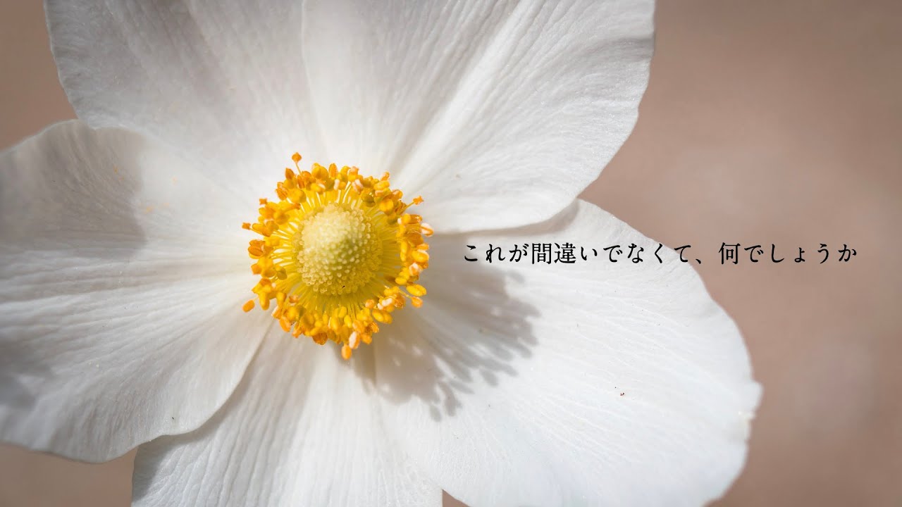 ヒューマンエラー　/  feat. 初音ミク