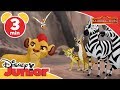 La Guardia Del León Momentos Mágicos Kion Y Las Cebras Disney Junior Oficial