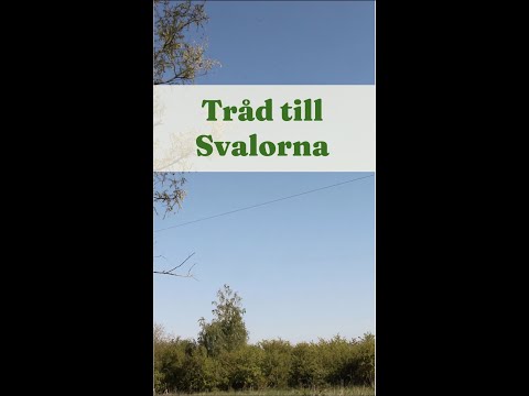 Tråd till svalorna - Trädgårdshacks med GardenR