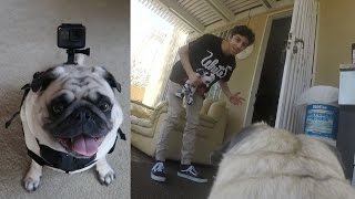 A DAY IN THE LIFE OF BOSLEY!! (GoPro Point of View) | FaZe Rug