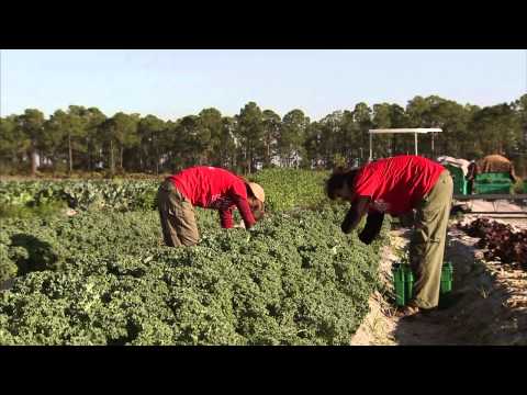 What is crop rotation? - "Agriculture 101: America's Heartland"