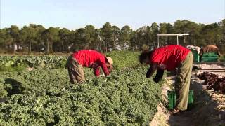 What is crop rotation? - 