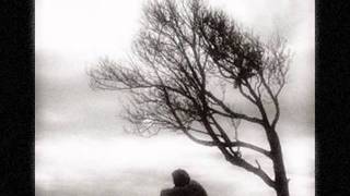 Cold Again -- Freedy Johnston